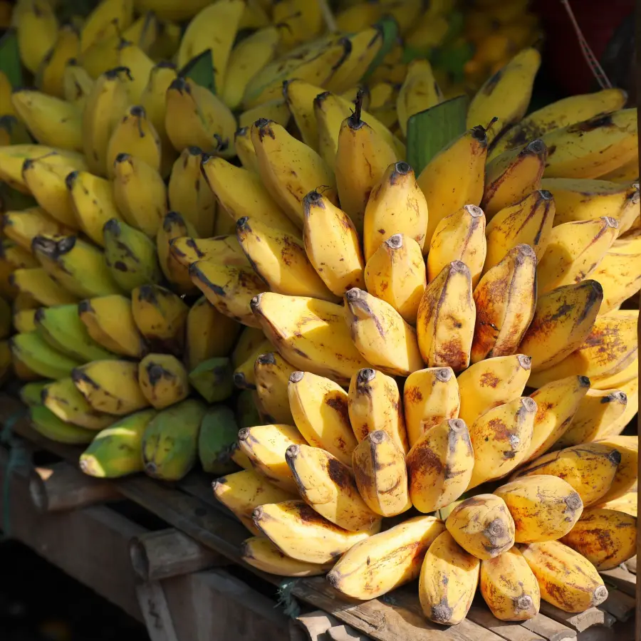 G9 bananas