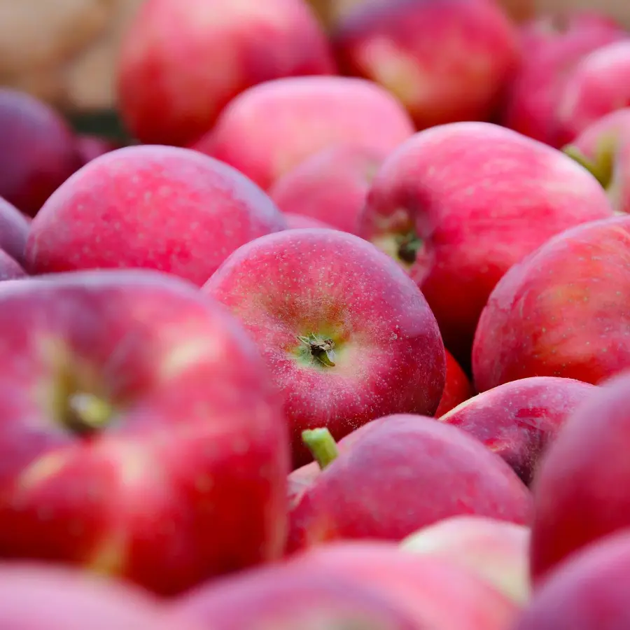 Apples