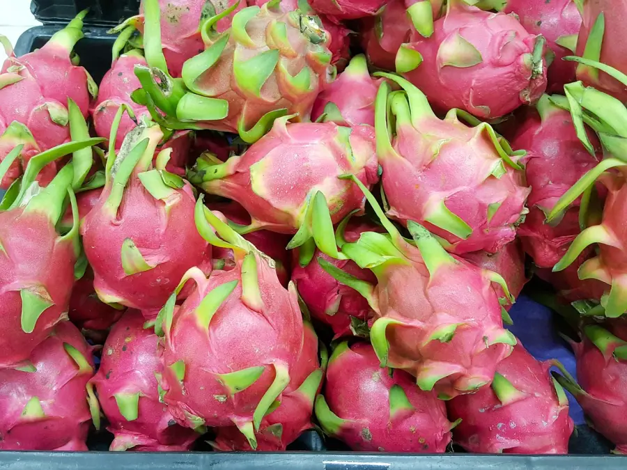 Dragon fruit