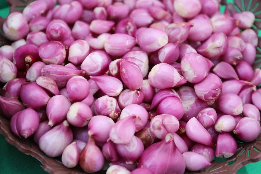 Shallots