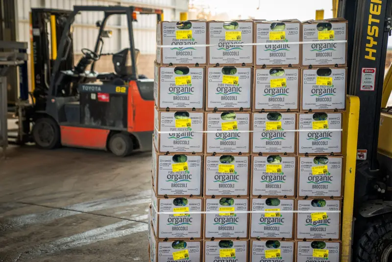 Palletised cartons ready for loading