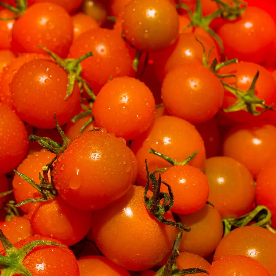 Tomatoes