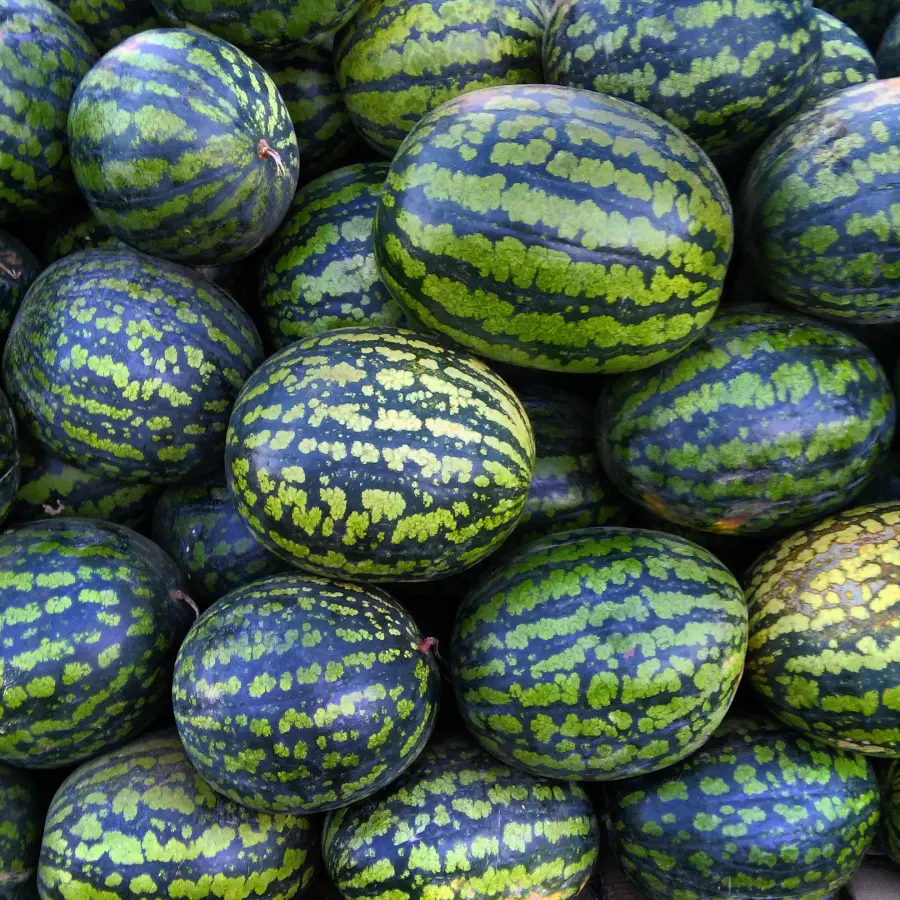 Watermelon